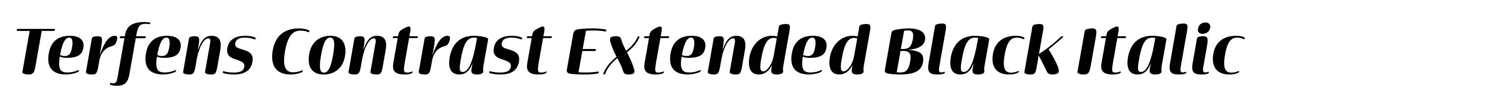 Terfens Contrast Extended Black Italic